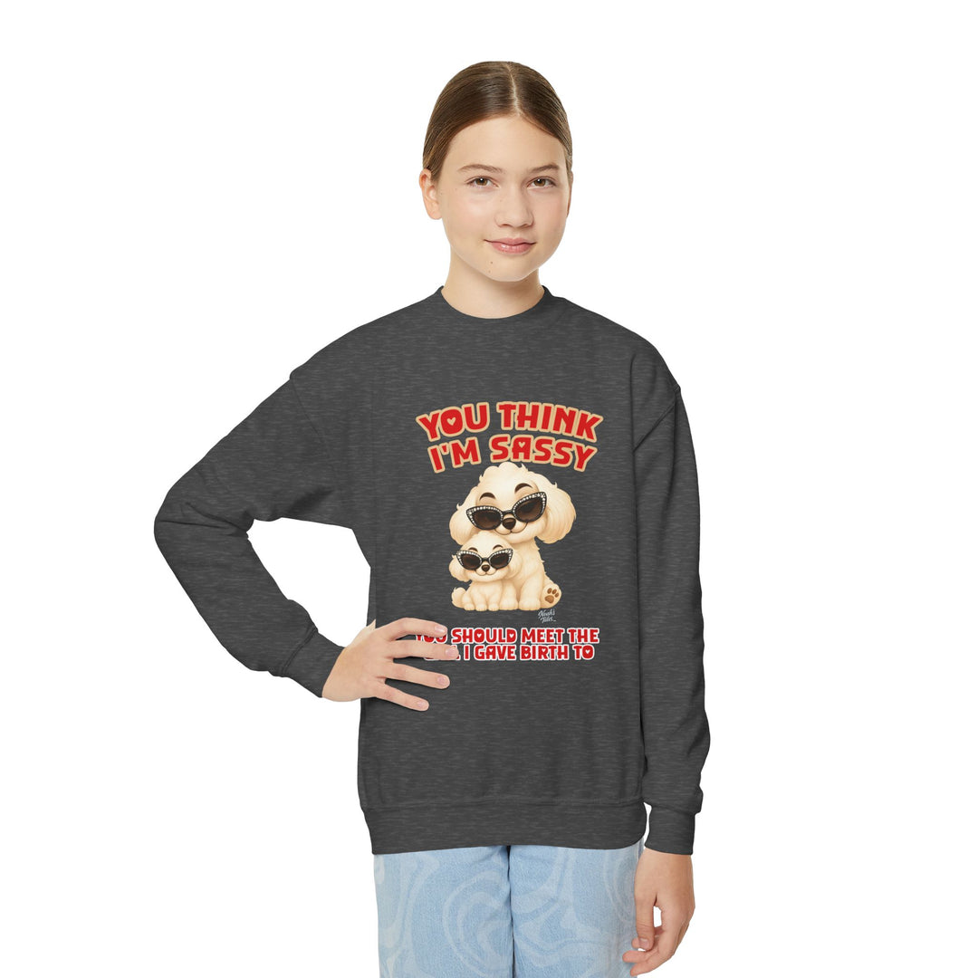 Noah’s Tales™ You Think I'm Sassy You Should Meet The Girl I Gave Birth To - Girl's Sweatshirt