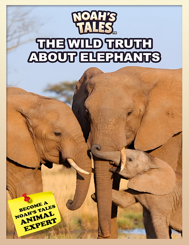 Noah’s Tales™ The Wild Truth About Elephants Book ( 44 Pages )