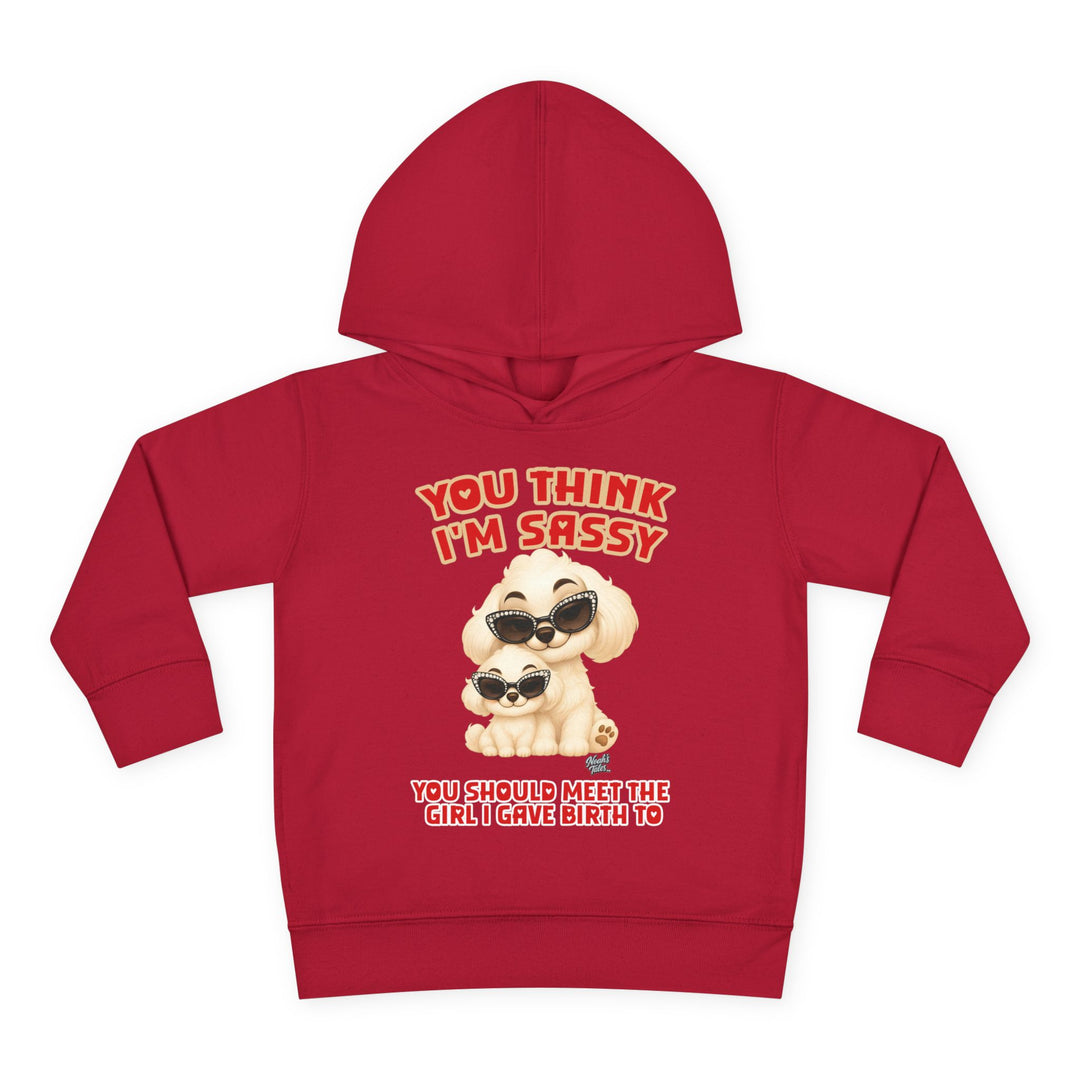 Noah’s Tales™ You Think I'm Sassy You Should Meet The Girl I Gave Birth To - Girl's Hoodie