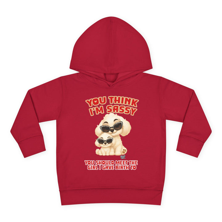 Noah’s Tales™ You Think I'm Sassy You Should Meet The Girl I Gave Birth To - Girl's Hoodie