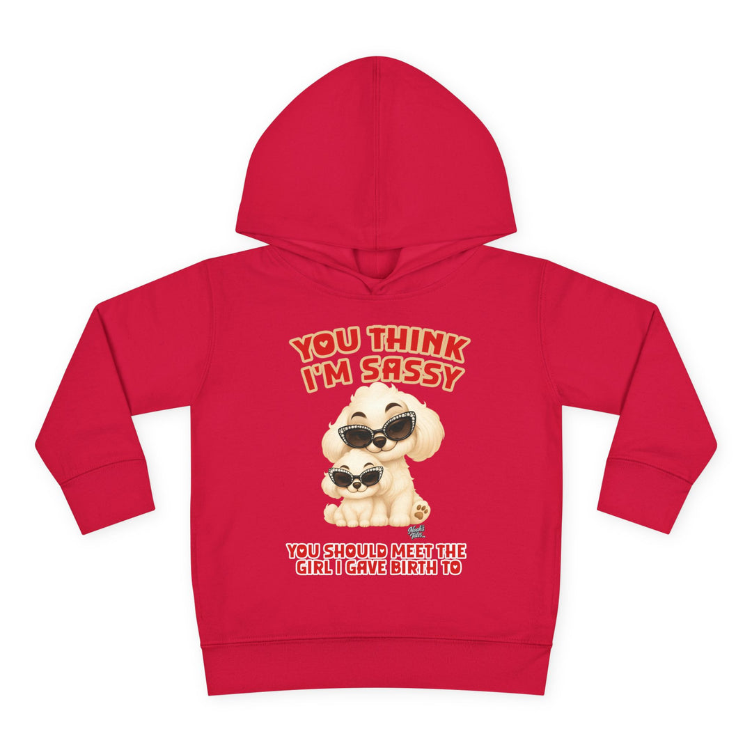 Noah’s Tales™ You Think I'm Sassy You Should Meet The Girl I Gave Birth To - Girl's Hoodie