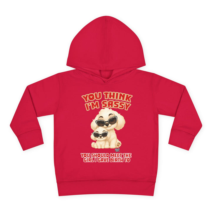 Noah’s Tales™ You Think I'm Sassy You Should Meet The Girl I Gave Birth To - Girl's Hoodie