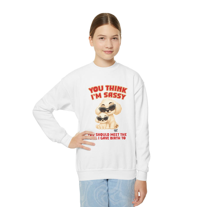 Noah’s Tales™ You Think I'm Sassy You Should Meet The Girl I Gave Birth To - Girl's Sweatshirt