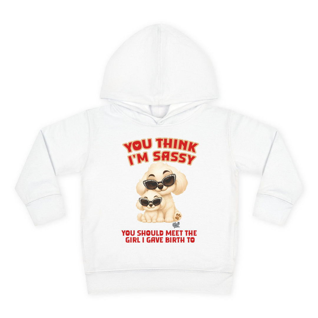 Noah’s Tales™ You Think I'm Sassy You Should Meet The Girl I Gave Birth To - Girl's Hoodie