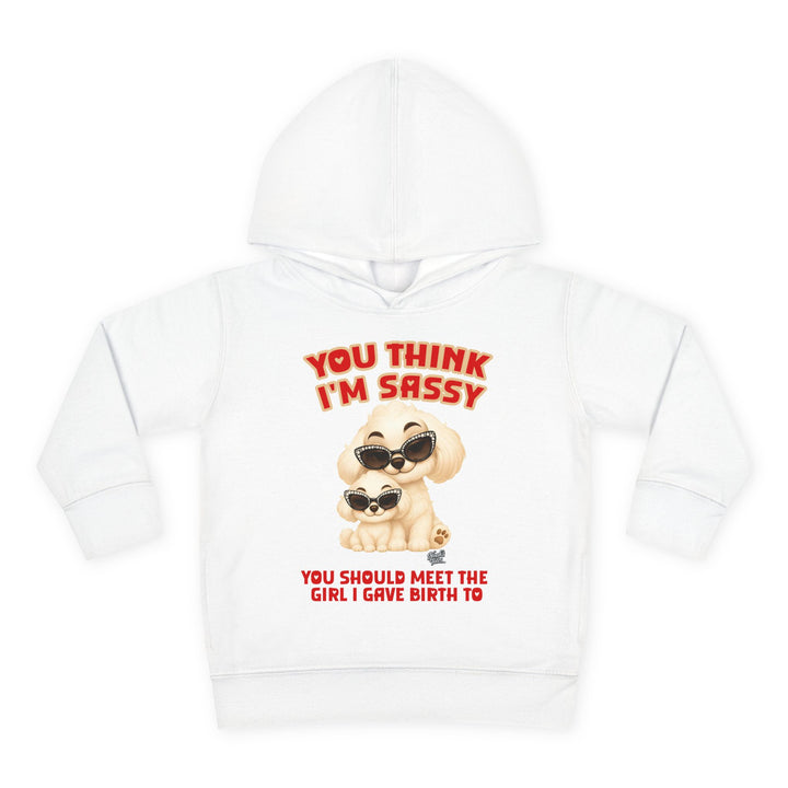 Noah’s Tales™ You Think I'm Sassy You Should Meet The Girl I Gave Birth To - Girl's Hoodie