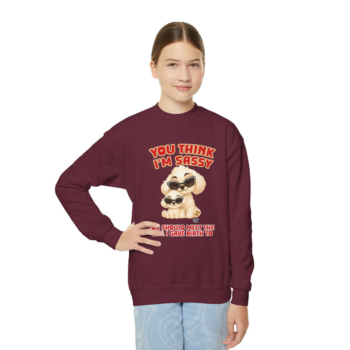 Noah’s Tales™ You Think I'm Sassy You Should Meet The Girl I Gave Birth To - Girl's Sweatshirt