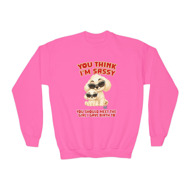 Noah’s Tales™ You Think I'm Sassy You Should Meet The Girl I Gave Birth To - Girl's Sweatshirt