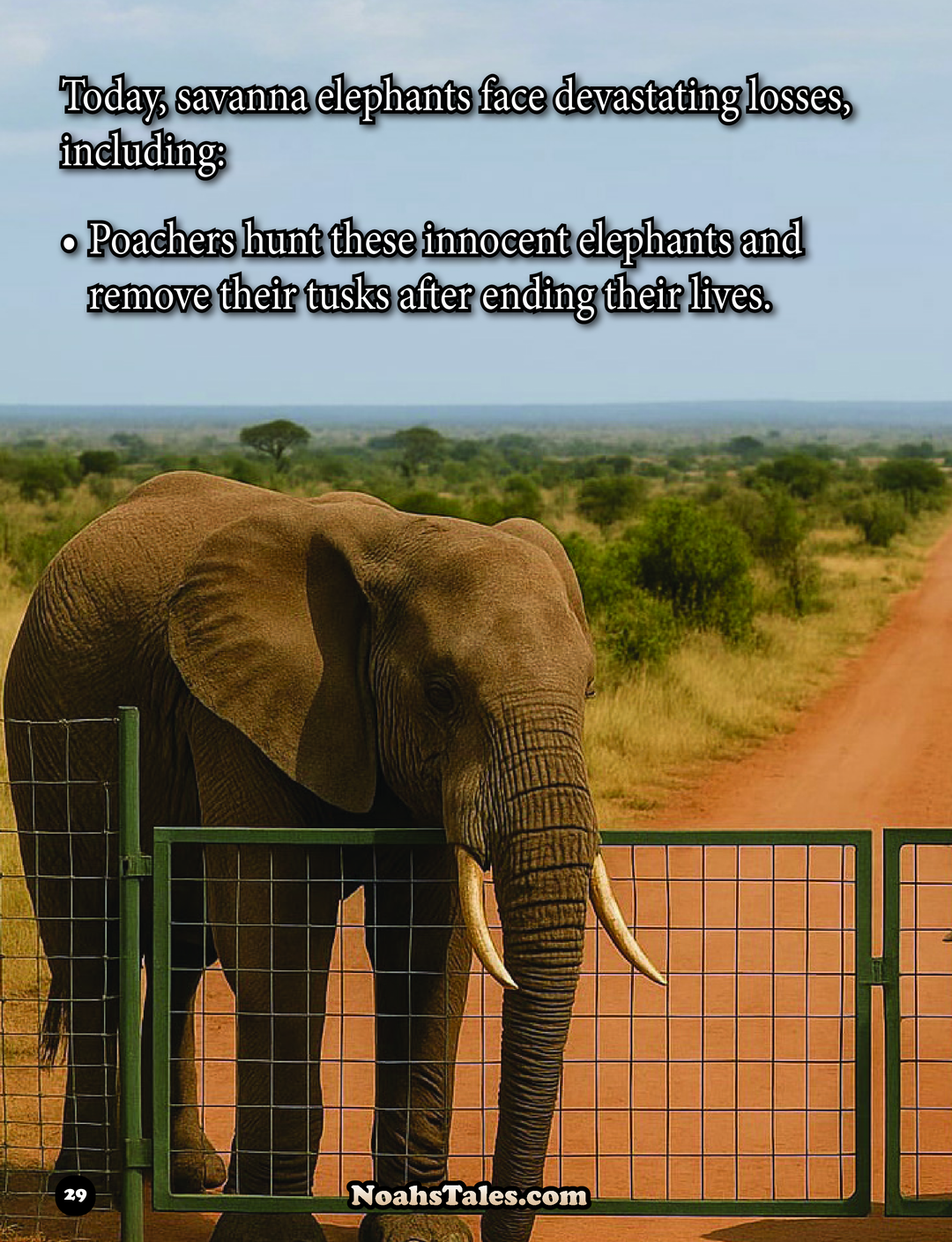 Noah’s Tales™ The Wild Truth About Elephants Book ( 44 Pages )