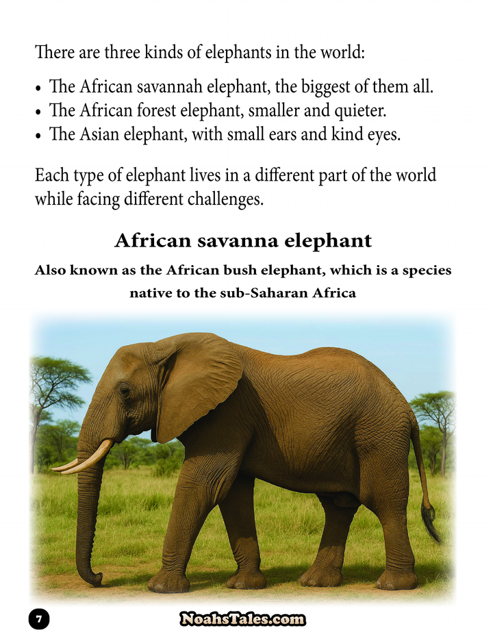 Noah’s Tales™ The Wild Truth About Elephants Book ( 44 Pages )
